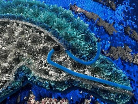 10-Dolphin-2-by-sheila-at-roses-and-posies-florist-