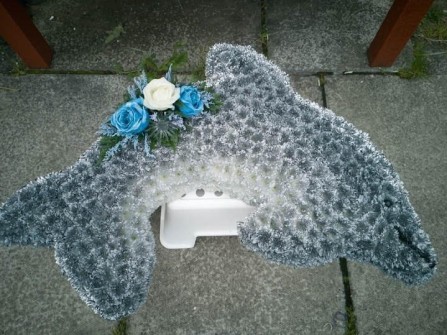 Dolphin-.by-Charlene-and-Neil-at-argyll-Flowers-west-dunbartonshire