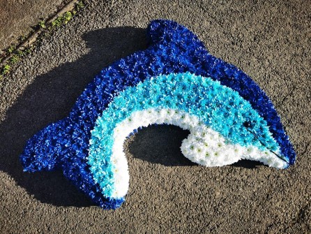 Dolphin-by-Bridgetts-Floral-Design