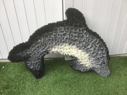 Dolphin by Kerris's Bunches and Bows