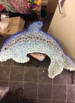 Dolphin by Sims Flowers 3