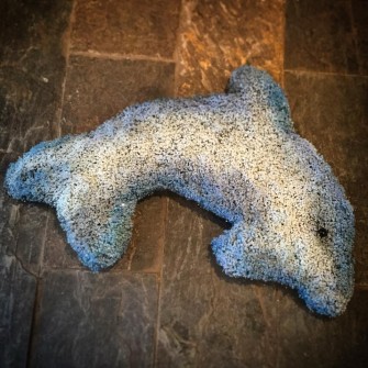 Dolphin by Stargazer Flowers