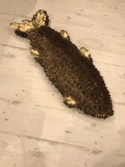 Fish Sarah at Flowers by Sarah Ann