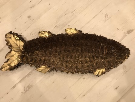 Fish Sarah at Flowers by Sarah Ann2