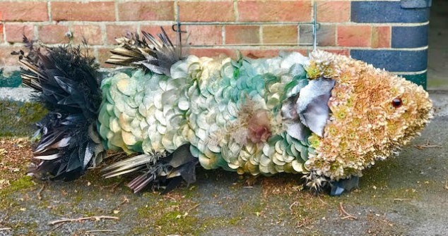 Fish by Katherine at Wild Orchids