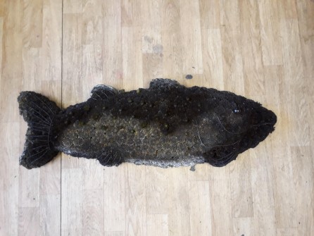 Fish-by-Regent-House-of-Flowers-in-Wrexham