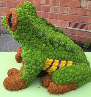 Frog 3D by Laura Edes and Donna Lodge 2