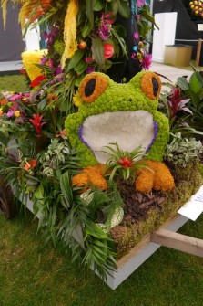 Frog 3D by Laura Edes and Donna Lodge 3