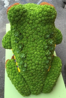 Frog 3D by Laura Edes and Donna Lodge 4