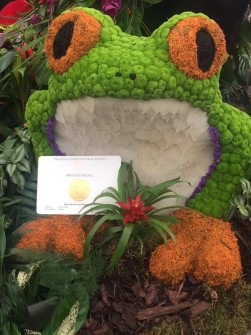 Frog 3D by Laura Edes and Donna Lodge 5