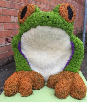 Frog 3D by Laura Edes and Donna Lodge