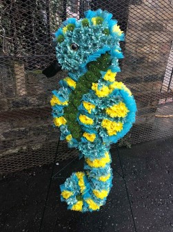 Seahorse by Charley at The Flower Cabin at The Old Slate Hard