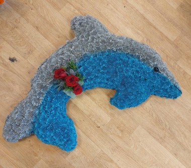 dolphin-by-regent-house-of-flowers-