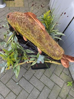 fish-2-by-nicolas-flower-lounge