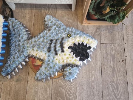 shark-by-bellas-bouquets