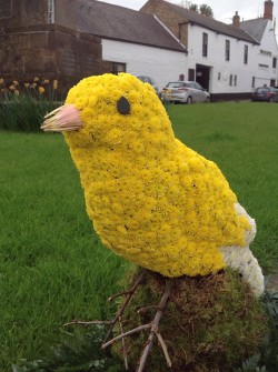 Goldfinch Bird 3D Gail at Flower Thyme