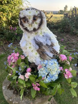 OWL-2-by-diane-for-flowers-