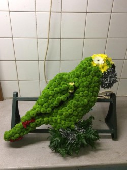 Parrot by Hazel Springett