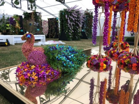 Peacock by Verdure Floral Design 2