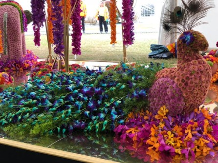 Peacock by Verdure Floral Design 3