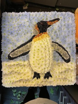 Penguin-by-Sweet-P-Florist-in-Sidcup