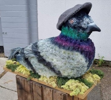 Pigeon-by-Amy-Gough-at-Enchanted-Florist