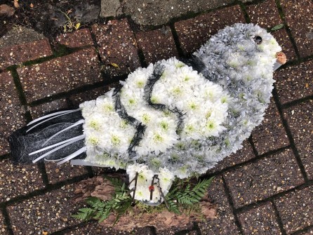 Pigeon-by-Jess-at-Roots-Florist-2