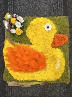 duck-by-neil-and-charlene-at-argyll-flowers