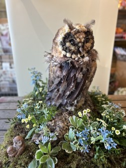 owl-by-virginia-carmen-designs-3jpeg