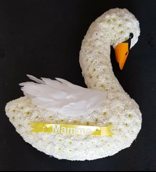 swan-by-Kayleigh-at-Suzies-Florist-Nottingham