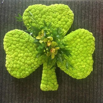 Shamrock by Christies Florist of Chingford