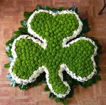 Shamrock by Daisy Chain Florist