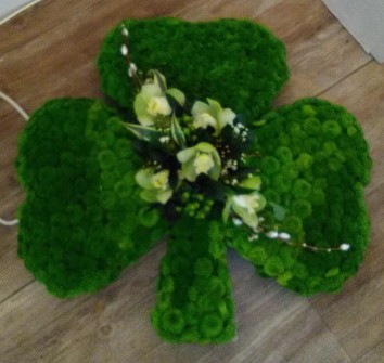 Shamrock-by-Louise-at-Bells-and-Blooms-Floral-Design