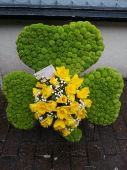 Shamrock by Mrs Bouquets