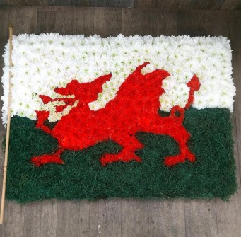 welsh-draib