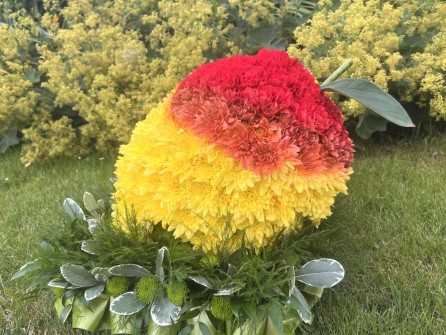 186-Mango-by-Melissa-at-Everlong-Flowers-UK