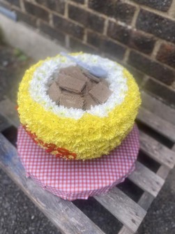 SHREDDIES-by-Rays-Florist6