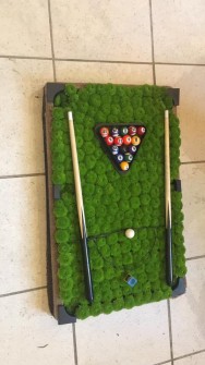 Snooker-by-The-Flower-Company
