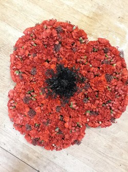 Poppy by Regent House of Flowers