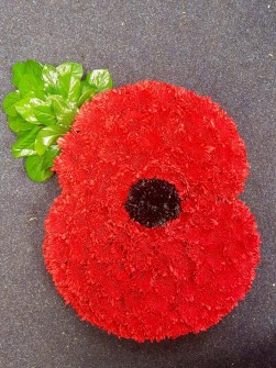 Poppy by Stacey at The Flower House