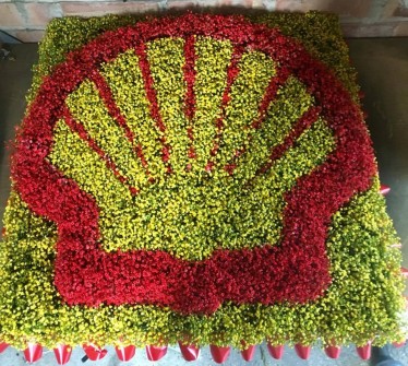 Shell Logo Suzanne at Flowers For Funerals in Barton Upon Humber