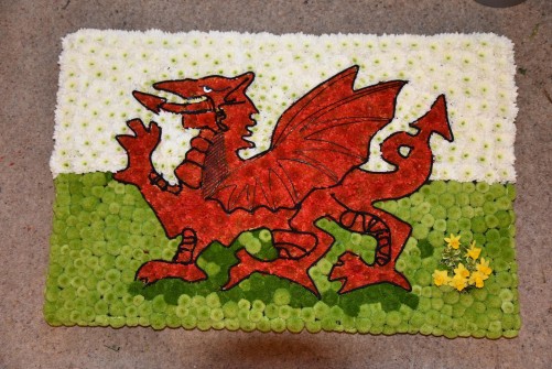 Welsh Dragon by Emma at The Flower Garden