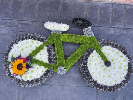 pushbike-by-andrea-at-butterfly-blooms