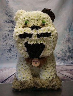 Bulldog 3D by Springview Flowers in Wigan