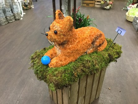 Chihuhua by Great Barr Florist