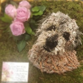 Dog-1-by-Donna-at-Divine-Flowers