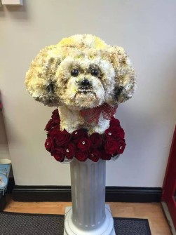 Dog 3D by Enchanted Flowers