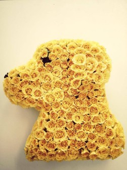Dog by Anoda Flowers