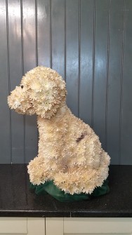 Dog by Becca at Ann and Pams Florist3