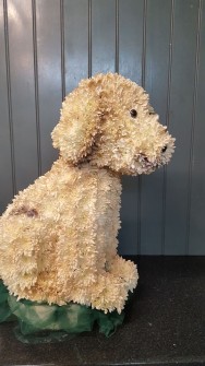 Dog by Becca at Ann and Pams Florist5